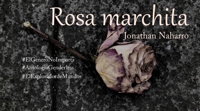 Rosa marchita (microrrelato)